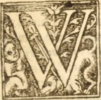 An illustration from Essex dove, presenting the world with a few of her olive branches : or, a taste of the workes of ... John Smith ... delivered in three severall treatises .. (1626)