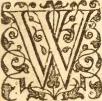 An illustration from Essex dove, presenting the world with a few of her olive branches : or, a taste of the workes of ... John Smith ... delivered in three severall treatises .. (1626)
