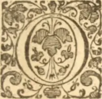 An illustration from Essex dove, presenting the world with a few of her olive branches : or, a taste of the workes of ... John Smith ... delivered in three severall treatises .. (1626)