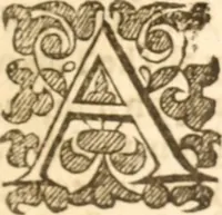An illustration from Essex dove, presenting the world with a few of her olive branches : or, a taste of the workes of ... John Smith ... delivered in three severall treatises .. (1626)