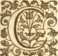 An illustration from Essex dove, presenting the world with a few of her olive branches : or, a taste of the workes of ... John Smith ... delivered in three severall treatises .. (1626)