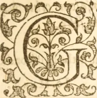 An illustration from Essex dove, presenting the world with a few of her olive branches : or, a taste of the workes of ... John Smith ... delivered in three severall treatises .. (1626)