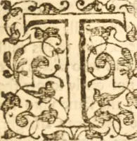 An illustration from Essex dove, presenting the world with a few of her olive branches : or, a taste of the workes of ... John Smith ... delivered in three severall treatises .. (1626)