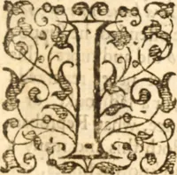 An illustration from Essex dove, presenting the world with a few of her olive branches : or, a taste of the workes of ... John Smith ... delivered in three severall treatises .. (1626)