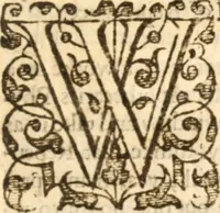 An illustration from Essex dove, presenting the world with a few of her olive branches : or, a taste of the workes of ... John Smith ... delivered in three severall treatises .. (1626)