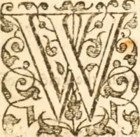 An illustration from Essex dove, presenting the world with a few of her olive branches : or, a taste of the workes of ... John Smith ... delivered in three severall treatises .. (1626)