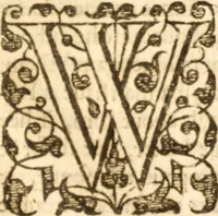 An illustration from Essex dove, presenting the world with a few of her olive branches : or, a taste of the workes of ... John Smith ... delivered in three severall treatises .. (1626)