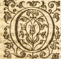 An illustration from Essex dove, presenting the world with a few of her olive branches : or, a taste of the workes of ... John Smith ... delivered in three severall treatises .. (1626)