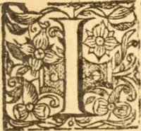 An illustration from Essex dove, presenting the world with a few of her olive branches : or, a taste of the workes of ... John Smith ... delivered in three severall treatises .. (1626)