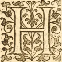 An illustration from Essex dove, presenting the world with a few of her olive branches : or, a taste of the workes of ... John Smith ... delivered in three severall treatises .. (1626)