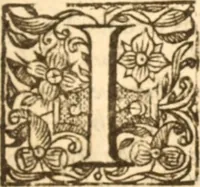 An illustration from Essex dove, presenting the world with a few of her olive branches : or, a taste of the workes of ... John Smith ... delivered in three severall treatises .. (1626)