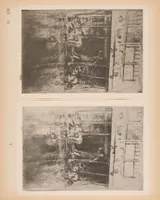 An illustration from The etched work of Whistler : illustrated by reproductions in collotype of the different states of the plates (1910)