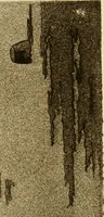 Picture 27 of 56 from Etching and other graphic arts : an illustrated treatise (1922), leaf 120