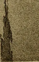 An illustration from Etching and other graphic arts : an illustrated treatise (1922)