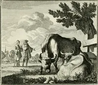 An illustration from Ethica naturalis, seu, Documenta moralia e variis rerum naturalium proprietatib[us], virtutum vitiorumq[ue] symbolicis imaginibus collecta (1700)