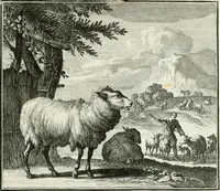 Picture 60 of 97 from Ethica naturalis, seu, Documenta moralia e variis rerum naturalium proprietatib[us], virtutum vitiorumq[ue] symbolicis imaginibus collecta (1700), leaf 130