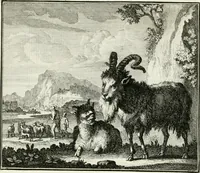 Picture 61 of 97 from Ethica naturalis, seu, Documenta moralia e variis rerum naturalium proprietatib[us], virtutum vitiorumq[ue] symbolicis imaginibus collecta (1700), leaf 132