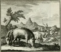 An illustration from Ethica naturalis, seu, Documenta moralia e variis rerum naturalium proprietatib[us], virtutum vitiorumq[ue] symbolicis imaginibus collecta (1700)