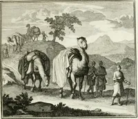 An illustration from Ethica naturalis, seu, Documenta moralia e variis rerum naturalium proprietatib[us], virtutum vitiorumq[ue] symbolicis imaginibus collecta (1700)