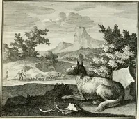 Picture 68 of 97 from Ethica naturalis, seu, Documenta moralia e variis rerum naturalium proprietatib[us], virtutum vitiorumq[ue] symbolicis imaginibus collecta (1700), leaf 146