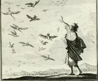 Picture 70 of 97 from Ethica naturalis, seu, Documenta moralia e variis rerum naturalium proprietatib[us], virtutum vitiorumq[ue] symbolicis imaginibus collecta (1700), leaf 150