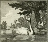 Picture 71 of 97 from Ethica naturalis, seu, Documenta moralia e variis rerum naturalium proprietatib[us], virtutum vitiorumq[ue] symbolicis imaginibus collecta (1700), leaf 152