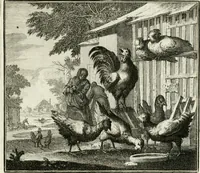 An illustration from Ethica naturalis, seu, Documenta moralia e variis rerum naturalium proprietatib[us], virtutum vitiorumq[ue] symbolicis imaginibus collecta (1700)
