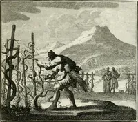 Picture 25 of 97 from Ethica naturalis, seu, Documenta moralia e variis rerum naturalium proprietatib[us], virtutum vitiorumq[ue] symbolicis imaginibus collecta (1700), leaf 56