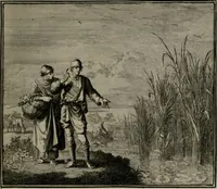 Picture 31 of 89 from Ethica naturalis seu Documenta moralia : e variis rerum naturalium proprietatib(us) virtutum vitiorumq(ue) symbolicis imaginibus collecta. (1700), leaf 70
