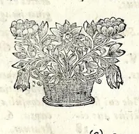 An illustration from Ethica symbolica e fabularum umbris in veritatis lucem varia eruditione, noviter evoluta (1675)