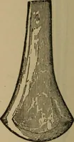 An illustration from Ethics of boxing and manly sport (1888)