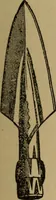 An illustration from Ethics of boxing and manly sport (1888)