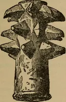 An illustration from Ethics of boxing and manly sport (1888)