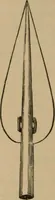 An illustration from Ethics of boxing and manly sport (1888)