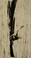 An illustration from Ethics of boxing and manly sport (1888)