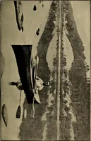An illustration from Ethics of boxing and manly sport (1888)