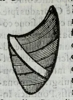 Picture 3 of 16 from Ethicus stylobates colossi sancti cardinalis Caroli magnalium patratoris, siue, Illustriss.mae Borromaeorum familiae elogium (1618), leaf 339