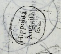 An illustration from Ethicus stylobates colossi sancti cardinalis Caroli magnalium patratoris, siue, Illustriss.mae Borromaeorum familiae elogium (1618)