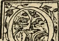 Picture 25 of 124 from Ethiopia oriental, e varia historia de cousas, notaveis do oriente (1609), leaf 111