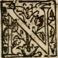 Picture 62 of 124 from Ethiopia oriental, e varia historia de cousas, notaveis do oriente (1609), leaf 294