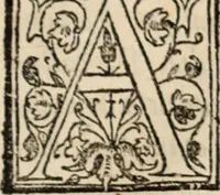 An illustration from Ethiopia oriental, e varia historia de cousas, notaveis do oriente (1609)