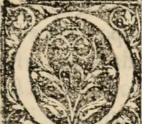 An illustration from Ethiopia oriental, e varia historia de cousas, notaveis do oriente (1609)