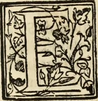 An illustration from Ethiopia oriental, e varia historia de cousas, notaveis do oriente (1609)