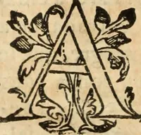 An illustration from Ethiopia oriental, e varia historia de cousas, notaveis do oriente (1609)