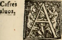 An illustration from Ethiopia oriental, e varia historia de cousas, notaveis do oriente (1609)