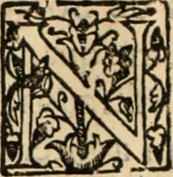 An illustration from Ethiopia oriental, e varia historia de cousas, notaveis do oriente (1609)