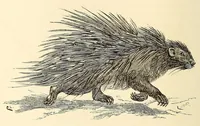 An illustration from Ethnographia e historia tradicional dos povos da Lunda (1890)