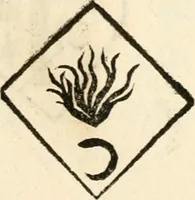 Picture 39 of 72 from Ethruscarum antiquitatum fragmenta : quibus vrbis Romae, aliarumque gentium primordia, mores, & res gestae indicantur (1637), leaf 204