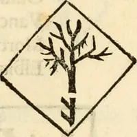 An illustration from Ethruscarum antiquitatum fragmenta : quibus vrbis Romae, aliarumque gentium primordia, mores, & res gestae indicantur (1637)