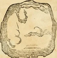 An illustration from Ethruscarum antiquitatum fragmenta : quibus vrbis Romae, aliarumque gentium primordia, mores, & res gestae indicantur (1637)